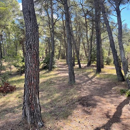 Serge Le Belge - Sejour Authentique Chez L Habitant A Lezignan Corbieres ภายนอก รูปภาพ