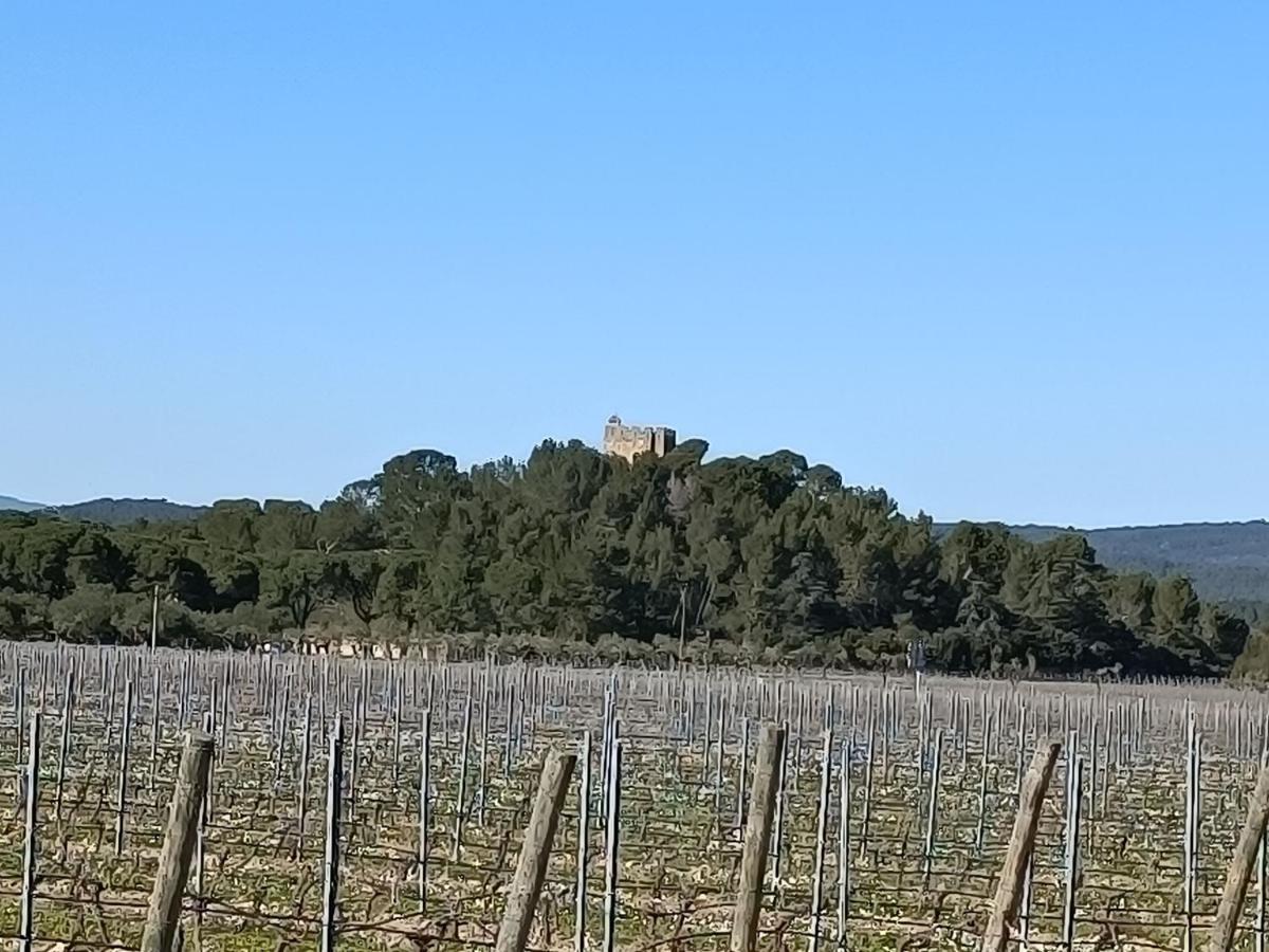Serge Le Belge - Sejour Authentique Chez L Habitant A Lezignan Corbieres ภายนอก รูปภาพ